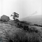 Haworth Moor